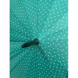 Bisetti - long parapluie canne 16 baleines - vert