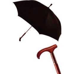 Long parapluie canne de marche Neyrat noir