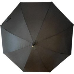 Long parapluie Vogue qui positionne un style - couleur Noir